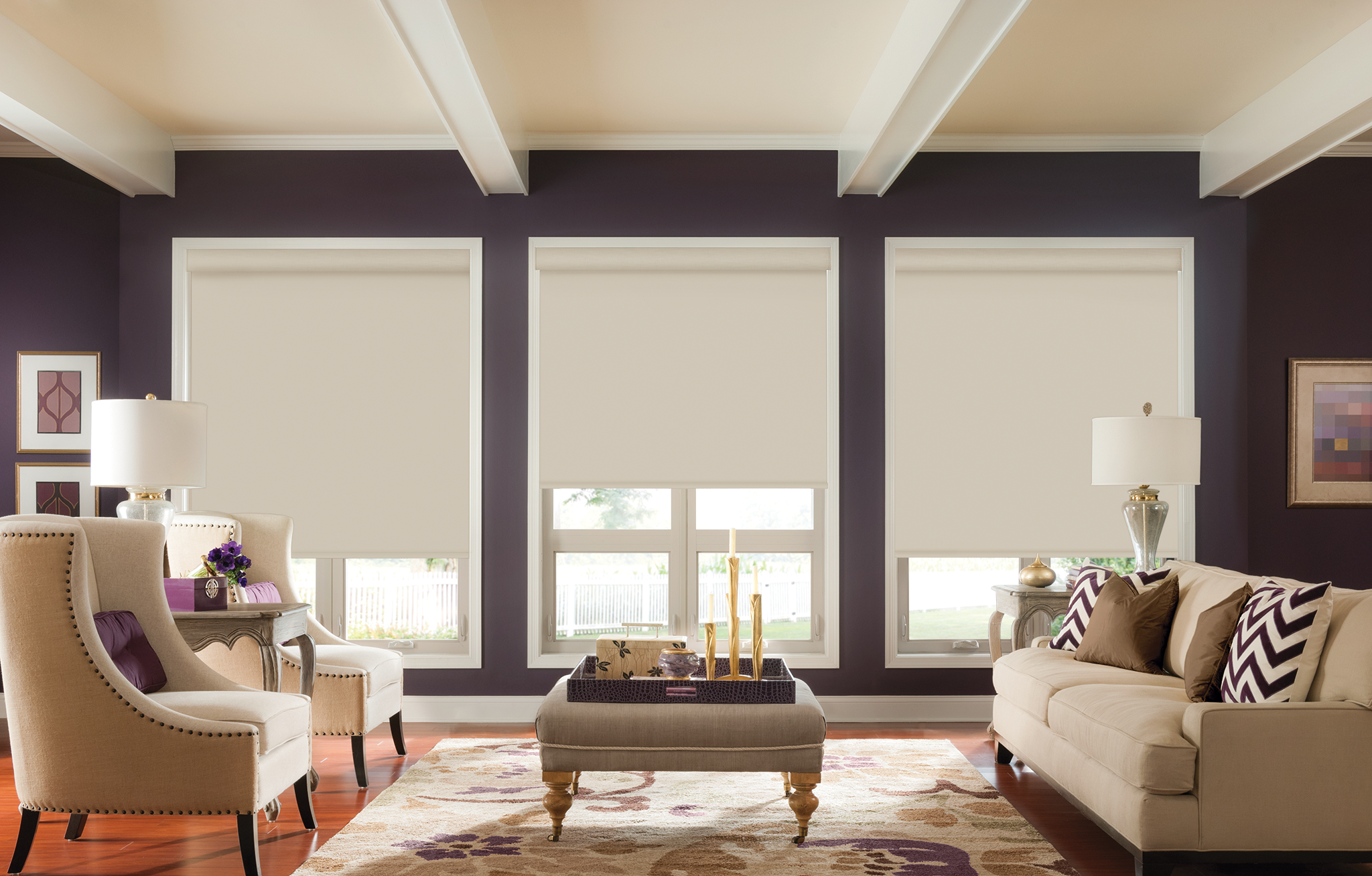 x graber-60004-roller-shades-r17-v1.png